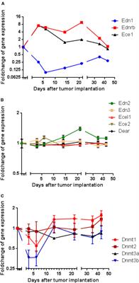 Modulation of the Endothelin System in Colorectal Cancer Liver Metastasis: Influence of Epigenetic Mechanisms?